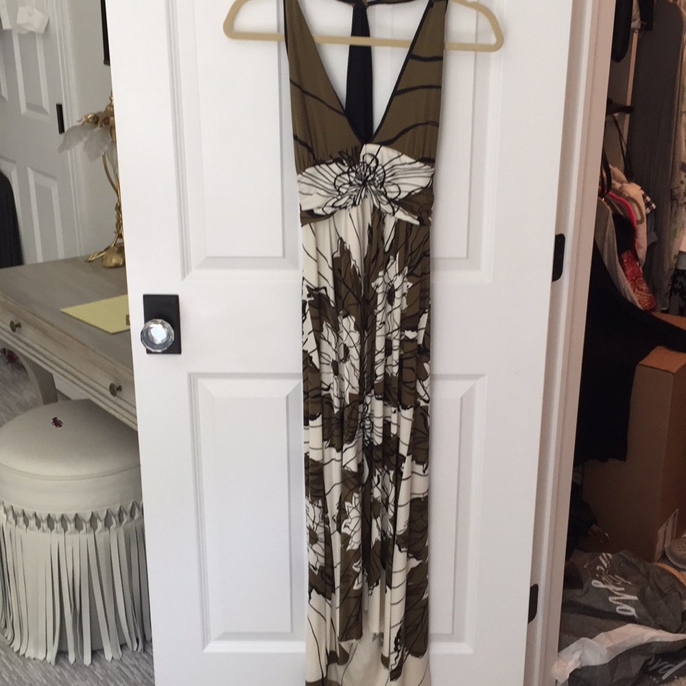 Alice and Olivia Maxi dress